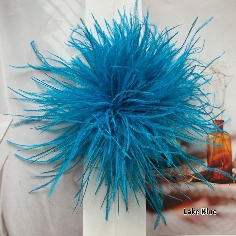 New Colorful Ostrich-feather Brooch Headdress Hair Clip