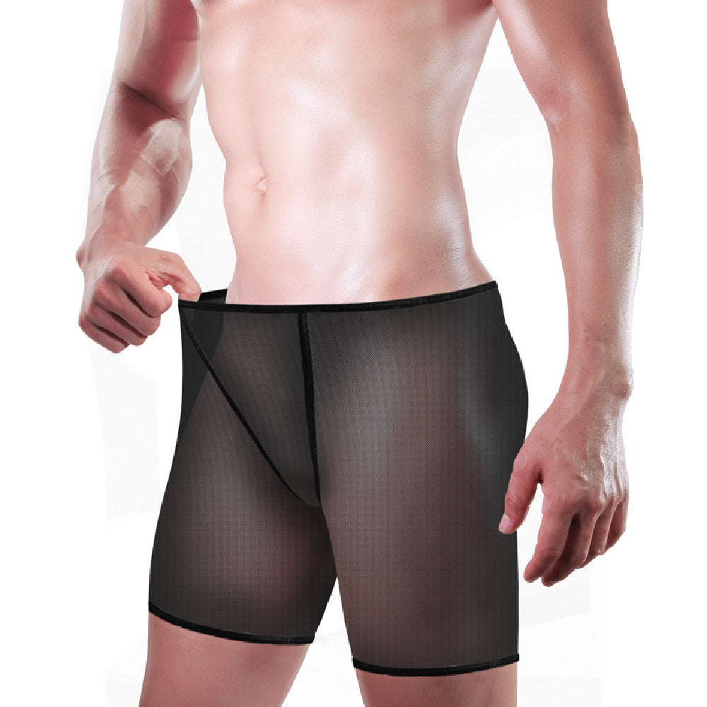 Men's Sexy Underwear Underwear Fine Mesh Big Boxer Underwear