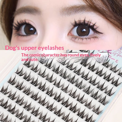 Glue-free Dog-style False Eyelashes Round-eye False Eyelashes
