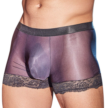 Men's Simple Lace Sexy Boxer Briefs