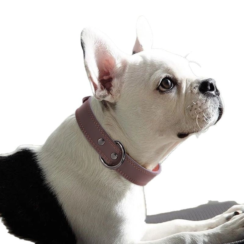 Medium Bell Anti-lost Pet Collar