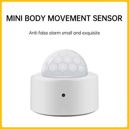 Graffiti Zigbee Human Movement Intelligent Infrared Sensor Door Magnetic Emergency Button Temperature and Humidity