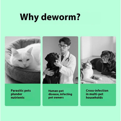 Pet Itching Relief Health Care Products