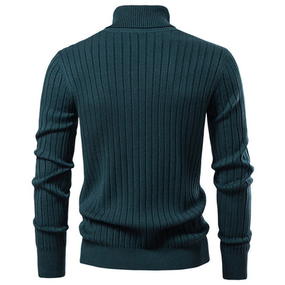 Mens Turtleneck Pullover Casual Knit Sweater