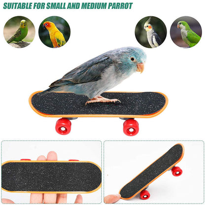 Parrot Toy Bird Supplies Supplies Puzzle Training