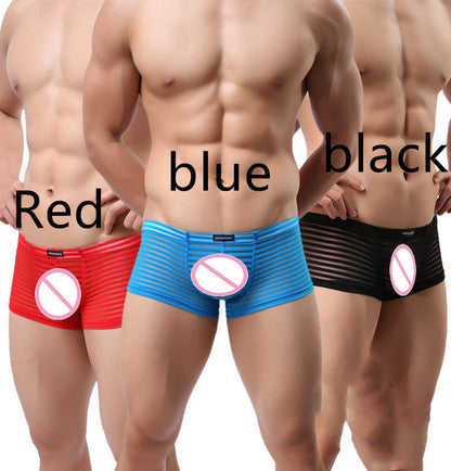 New Style Men's Boxer Briefs Striped Perspective