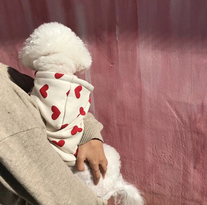 Warm And Cute Printed Love Sweater Pet