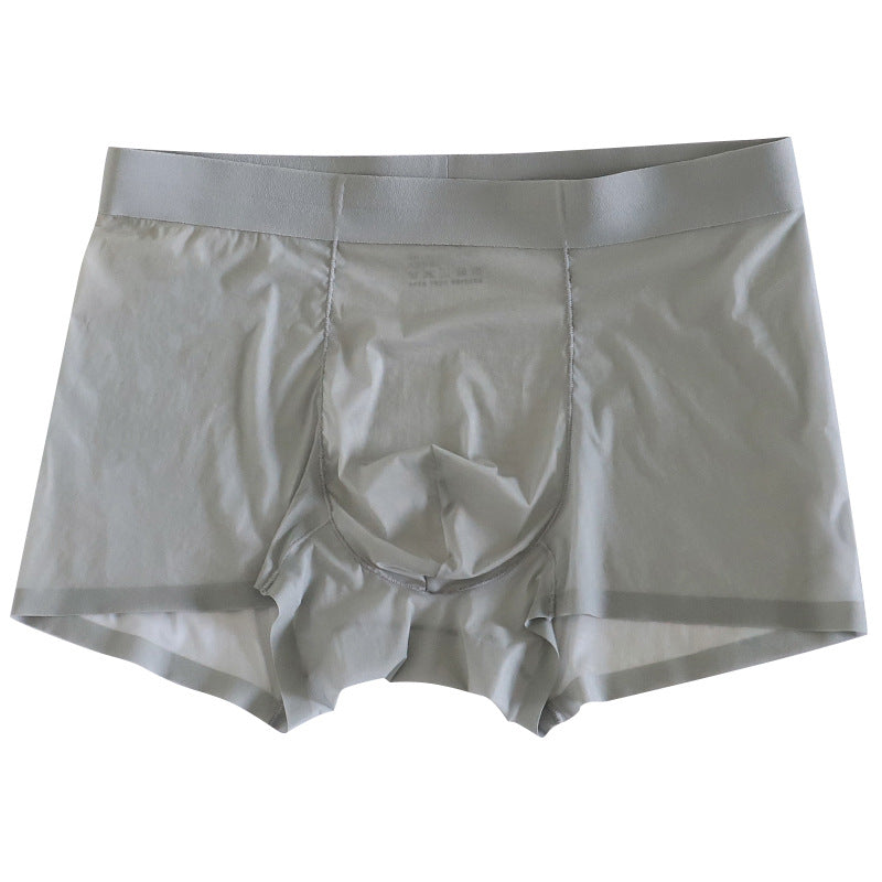 Transparent Sexy Boxer Briefs Mens Shorts