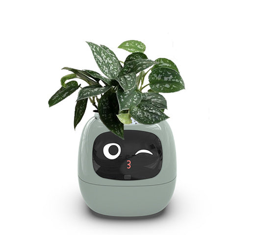 Smart AI Planter with Expressions and Sensors
