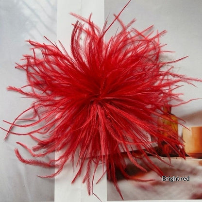 New Colorful Ostrich-feather Brooch Headdress Hair Clip