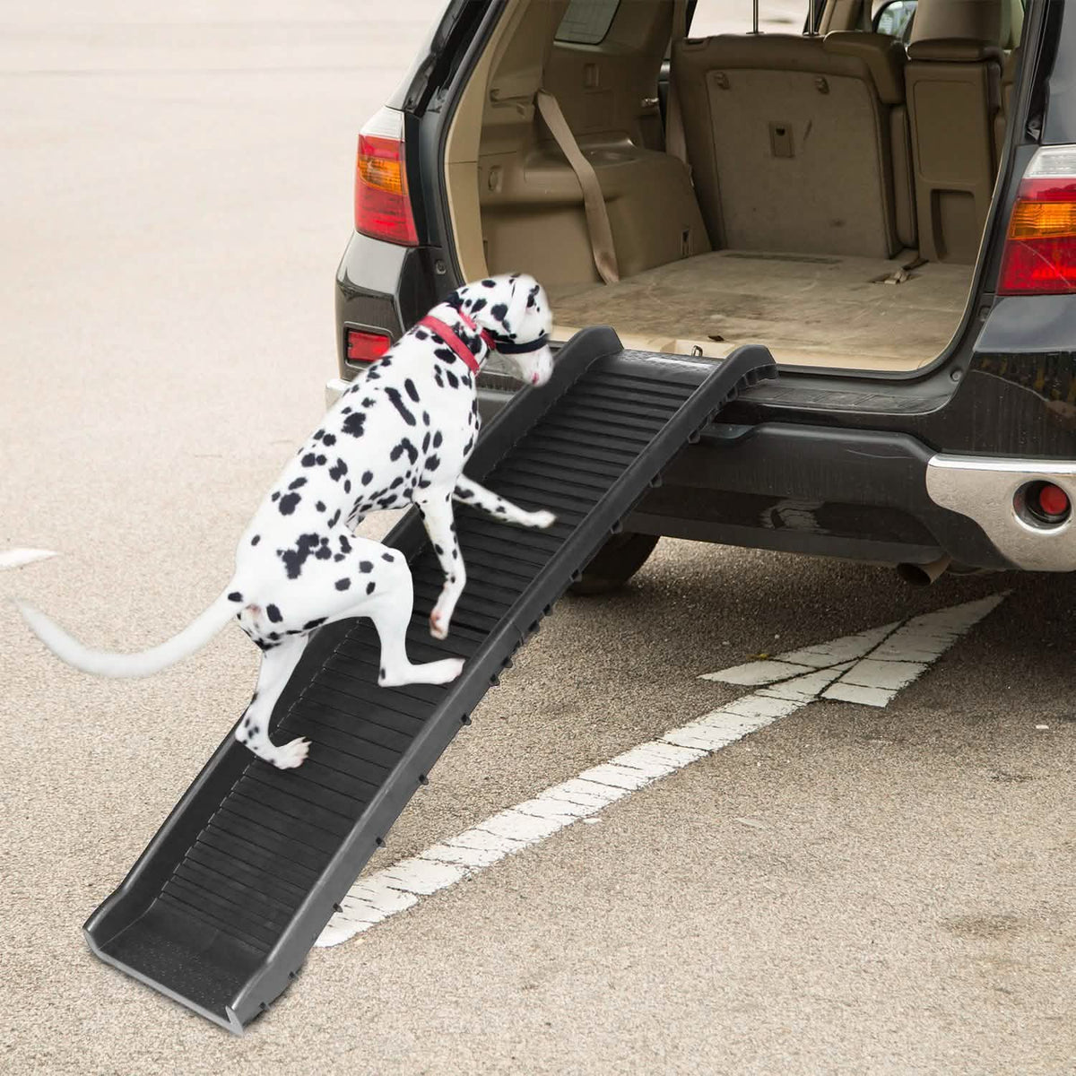 Foldable Pet Ramp Non Slip Ladder
