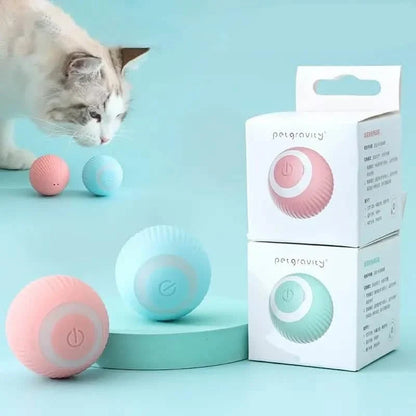 Found Notice Smart Interactive Cat Toy