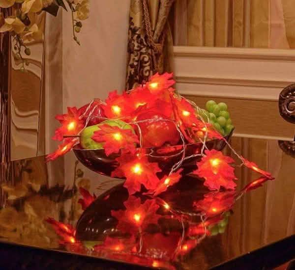 Lighted Fall Garland 40 LED String Light