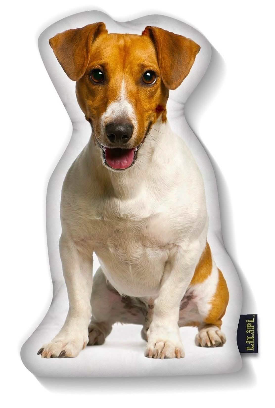 LiLiPi Dog-Shaped Accent Pillow - Assorted Styles